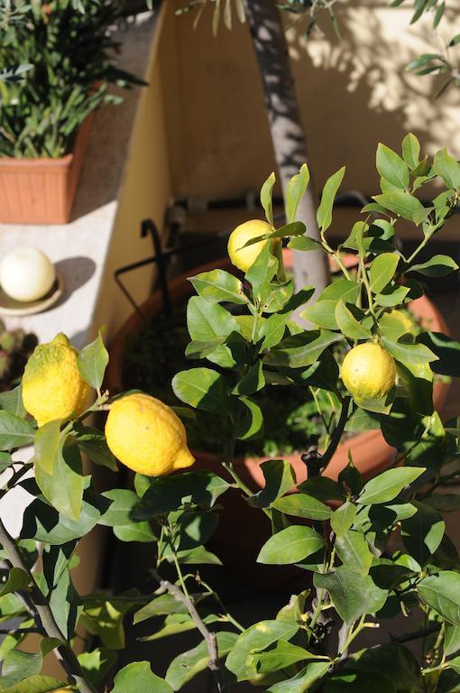 Aldebaran Bed & Breakfast Rome Exterior photo